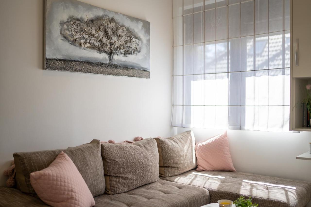 Apartman Tajena 즐라티보 외부 사진